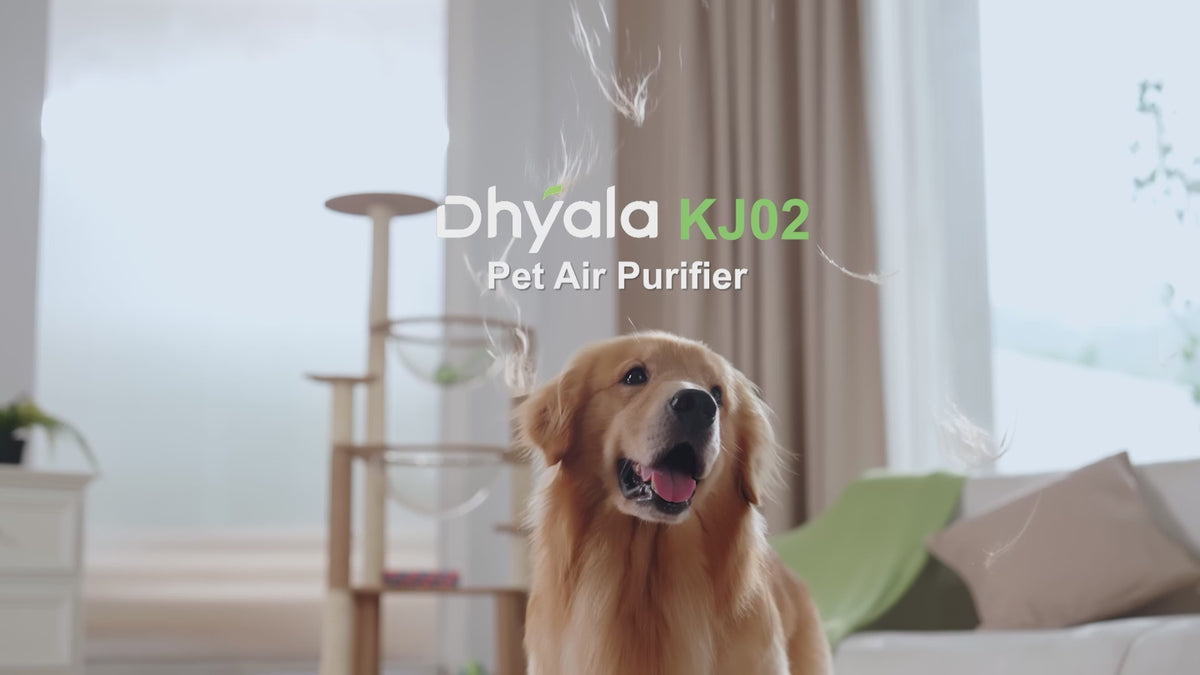 Dhyala Air Purifiers KJ02 Overview